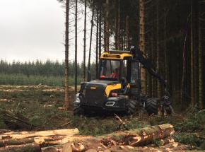 Harvesting timber at Kippendavie & Cauldhame Estates, April 2018