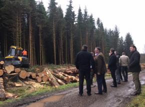 The Agricultural Minister of Slovenia looking around the estate with the forestry team.